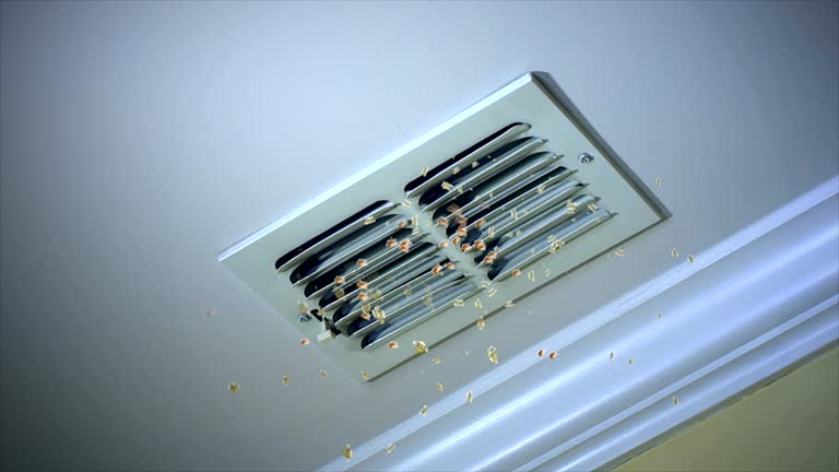 Best Air Duct Mold Removal  in The Hammocks, FL