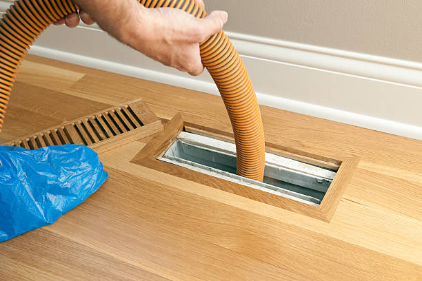 Best Ductwork Cleaning Services  in The Hammocks, FL